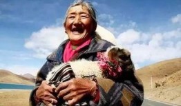 挽挽子最新爆料,揭秘娱乐圈惊人内幕